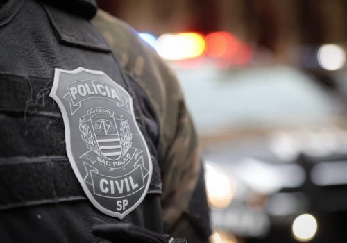 Os dois homens responderão por furto qualificado e associação criminosa  Foto: Divulgação/Governo de SP