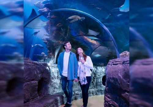 Sea Life Florida Aquarium