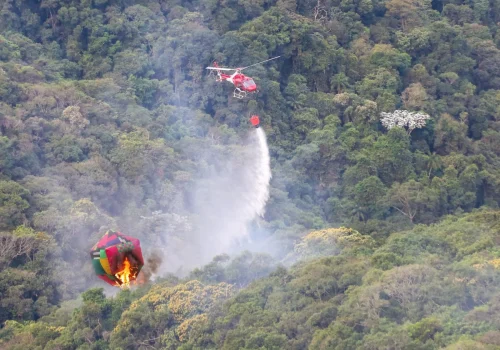 Governo de SP mobiliza força-tarefa com  profissionais e equipamentos especializados para apoiar no combate a incêndios no Amazonas