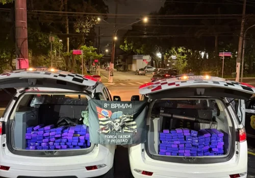 Polícia Militar de SP apreende 163 kg de maconha na zona leste da capital